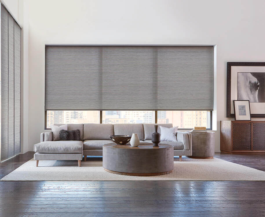 Living Room Window Treatment Inspiration: Modern ...