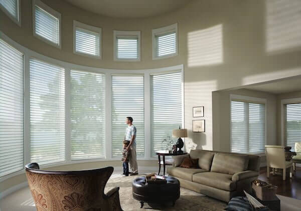 Hunter Douglas Silhouette and Nantucket window shadings