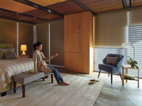 Hunter Douglas Silhouette and Nantucket window shadings