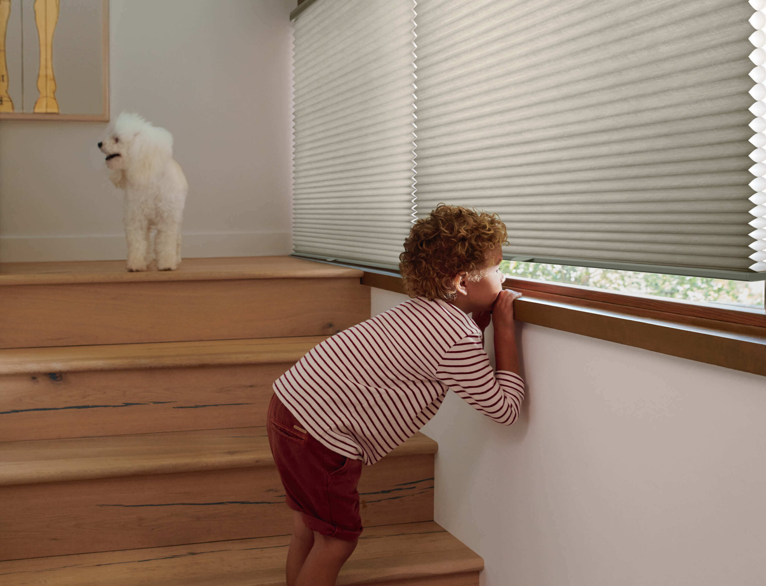 Child Safe Window Treatments