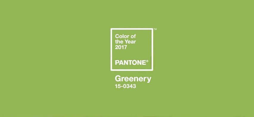 How are color trends decided? 