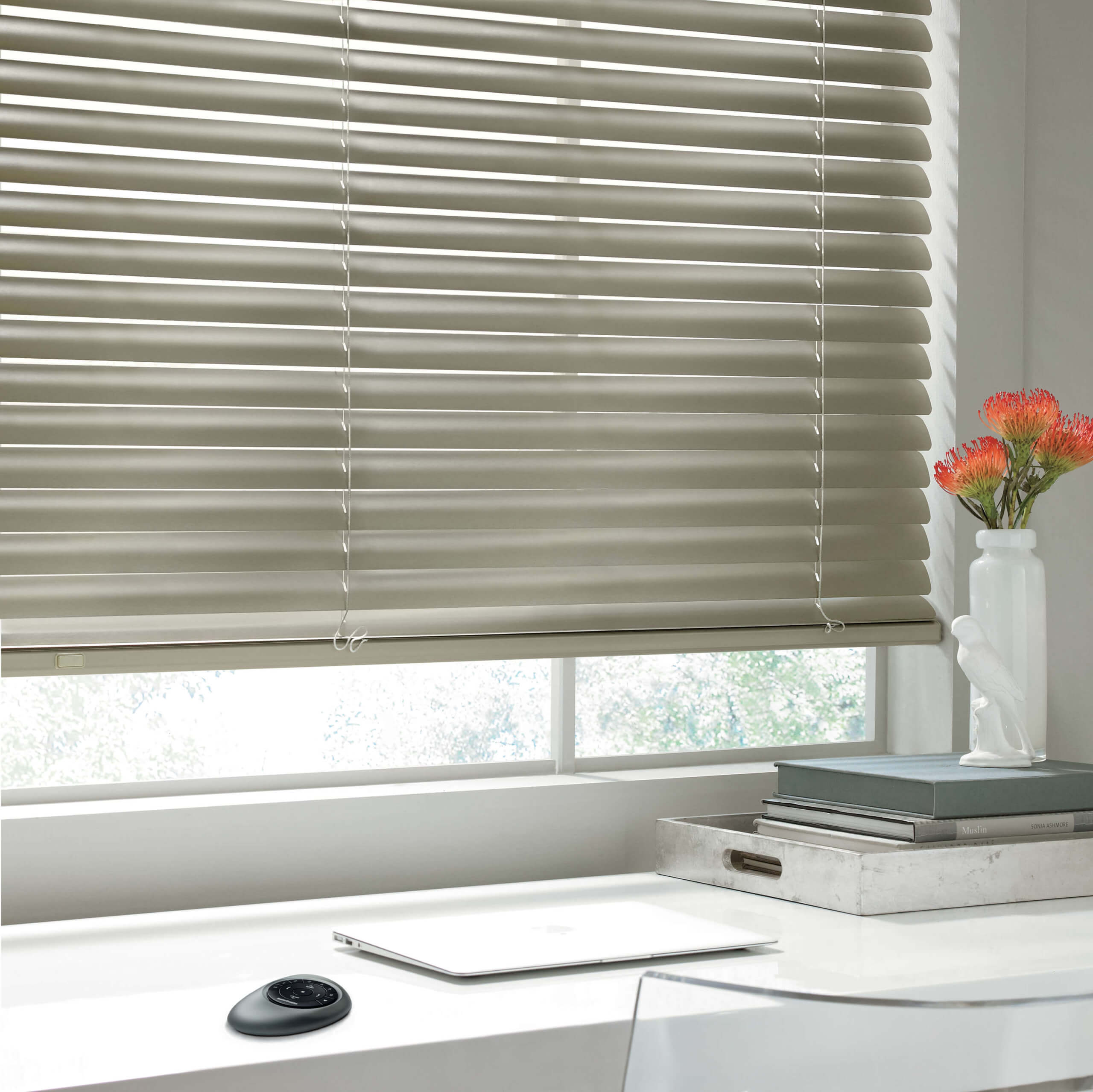 Motorized Window Treatment Options: Motorized blinds